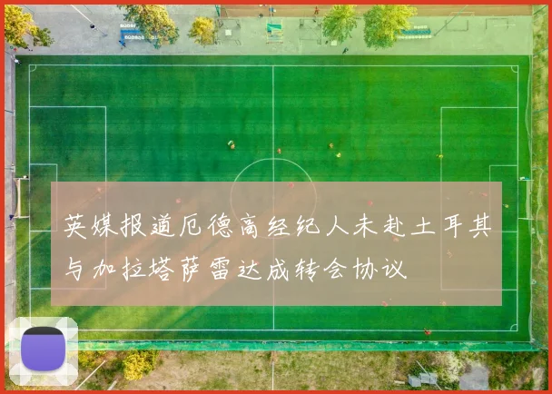 英媒报道厄德高经纪人未赴土耳其与加拉塔萨雷达成转会协议